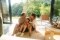 La imagen muestra a una familia con dos niños sentados en el suelo del salón frente a una puerta de patio abierta, abrazándose alegremente.